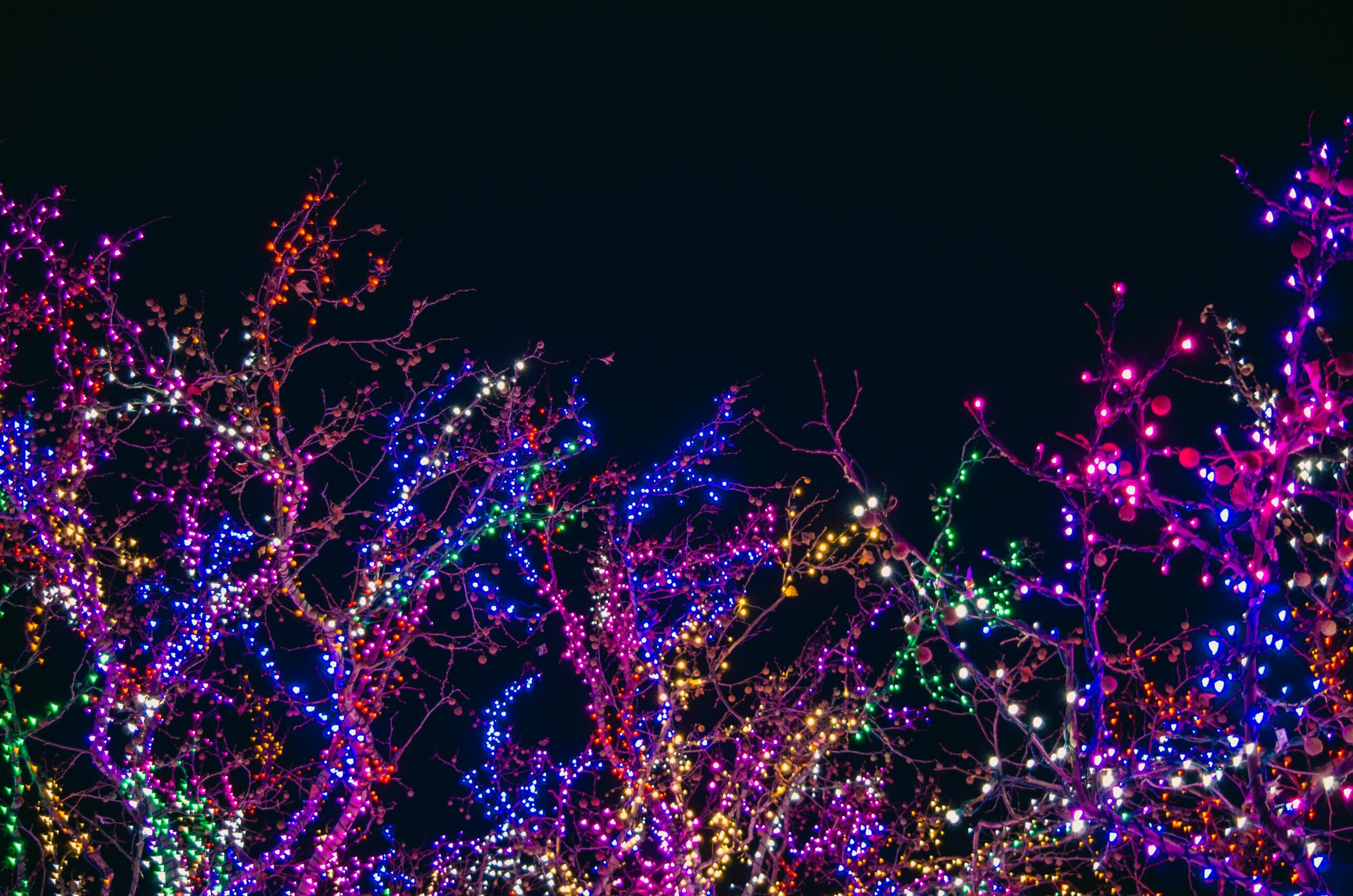 7 Magical Christmas Light Displays in Portland