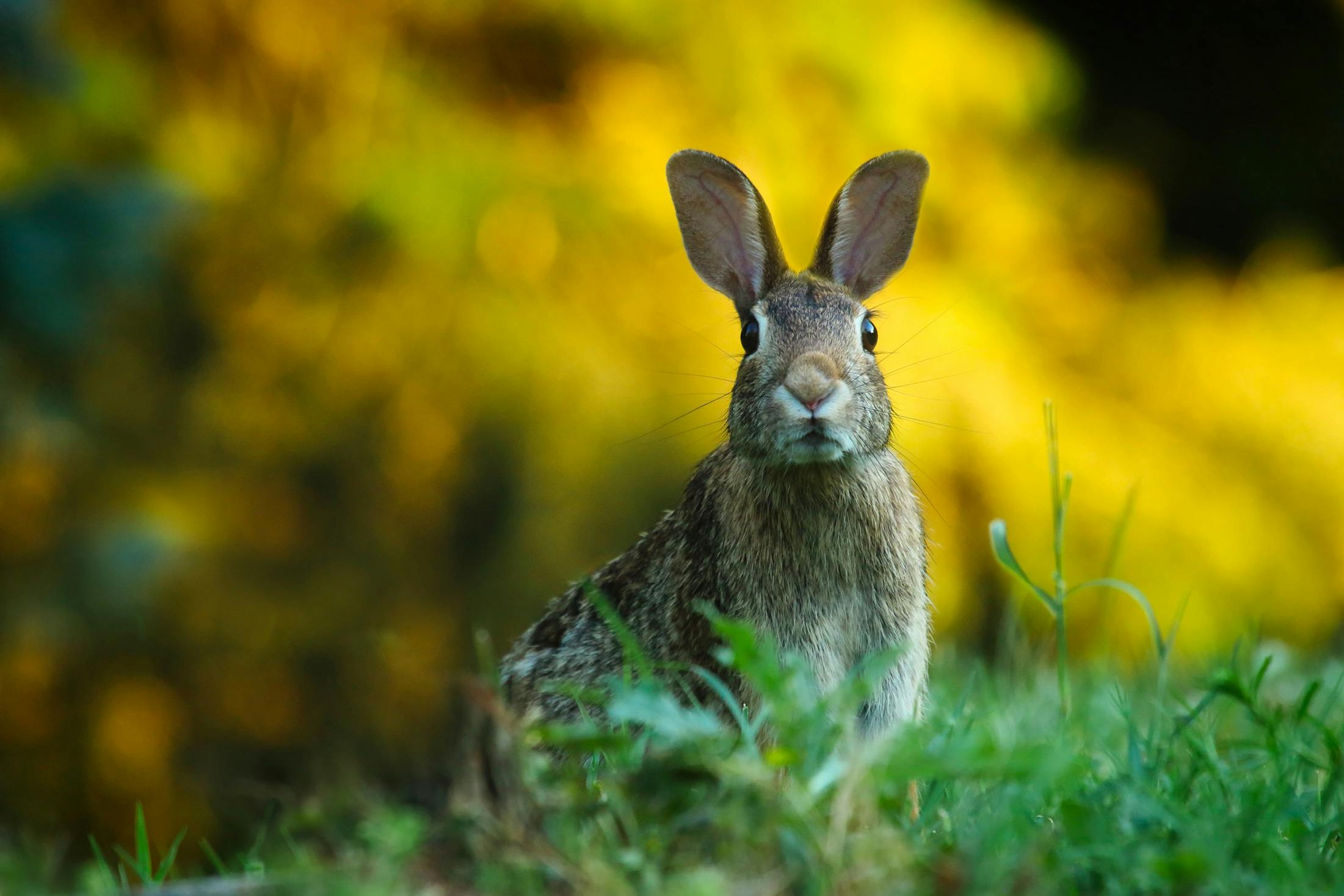 6 Wildlife Preserves You Can Visit Near Portland